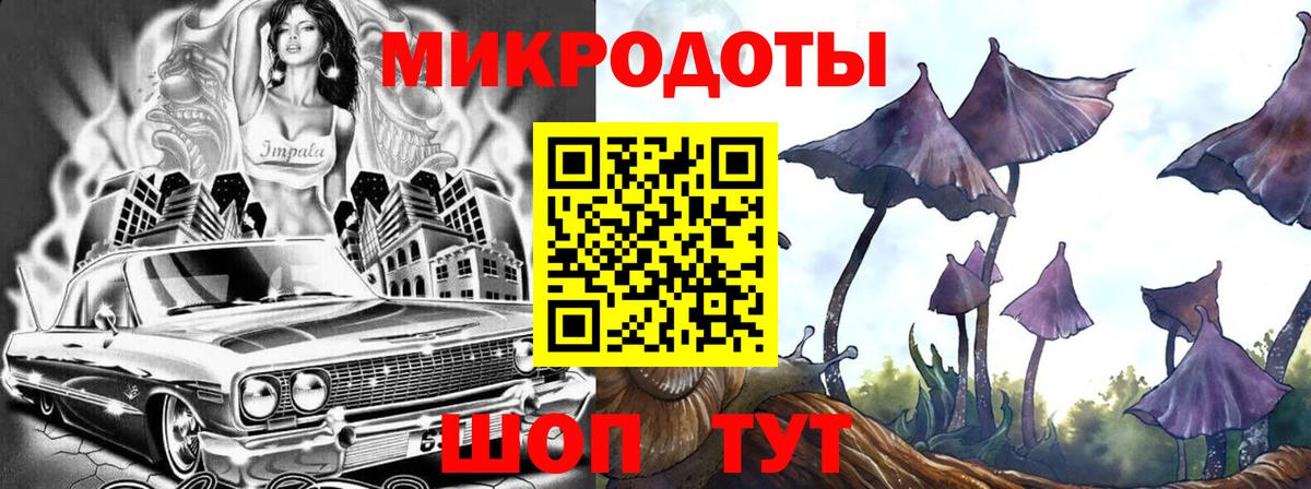 Галлюциногенные грибы GOLDEN TEACHER  сколько стоит  Бийск  Вход с VPN 