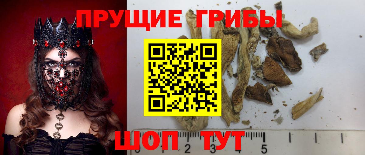 Галлюциногенные грибы GOLDEN TEACHER Бийск
